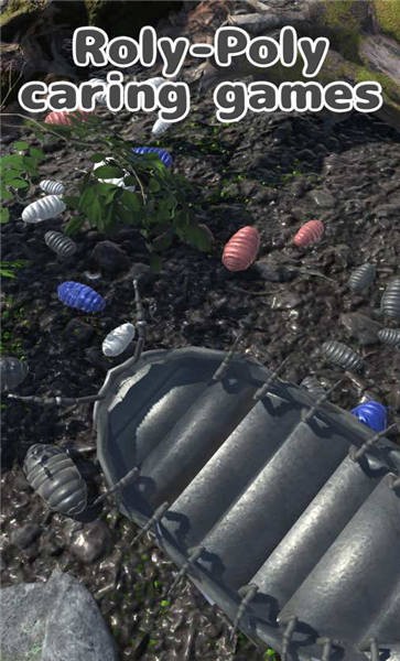 RolyPoly(Բ������������)