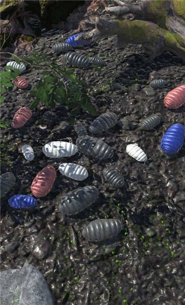 RolyPoly(Բ������������)