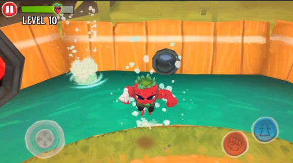 ��ݮ��ս��