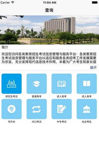 ɽ������������