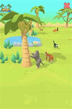 人类进化赛跑者最新版