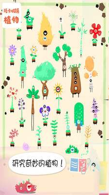 �п�����ֲ��