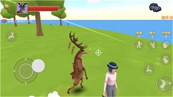 �����˶���