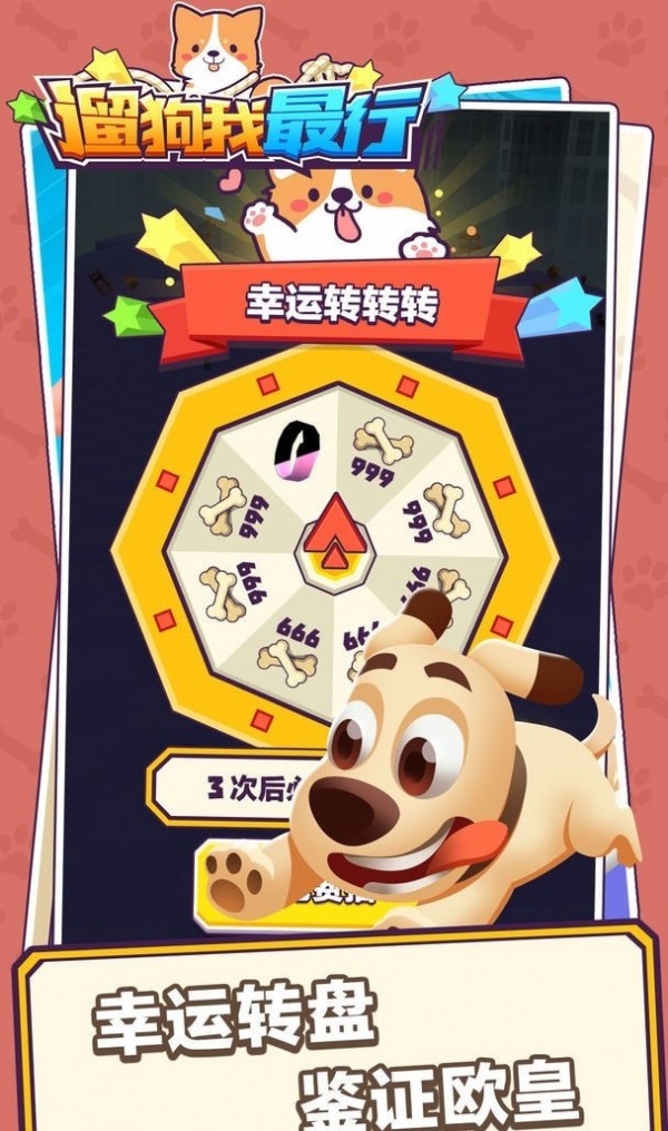 �޹�������