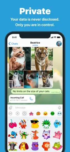 ֽ�ɻ�������