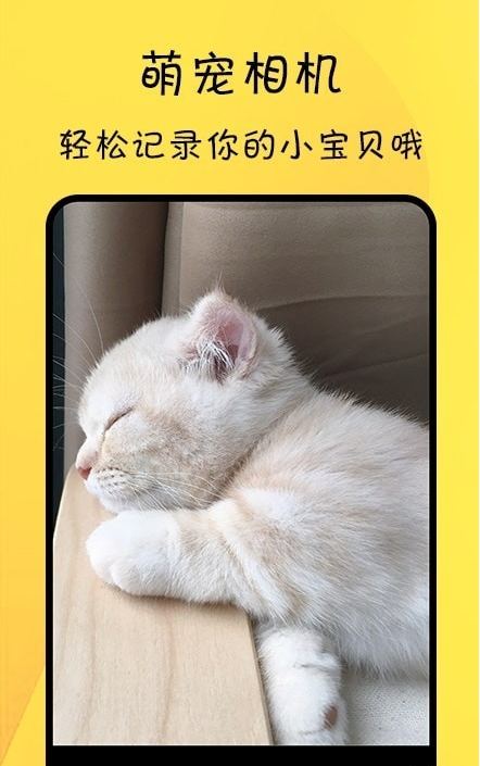 养宠记