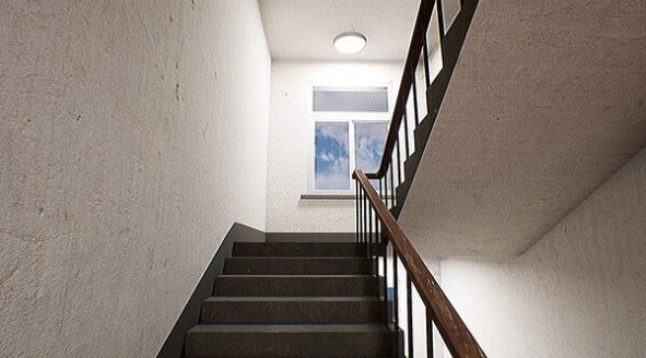 ������Ԣ