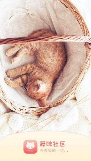 猫咪社区3.1.2正版安装773安卓最新版