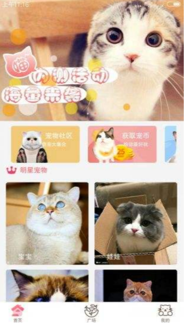 猫咪社区3.1.2正版安装773安卓最新版