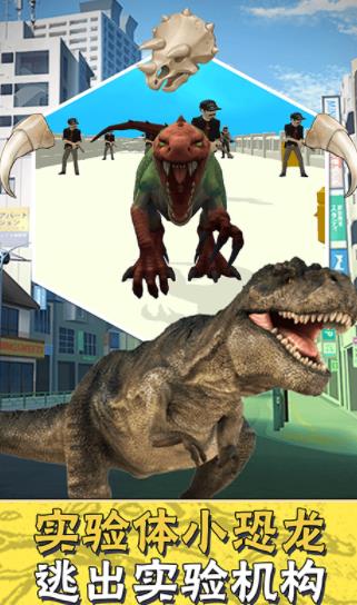 ��С����