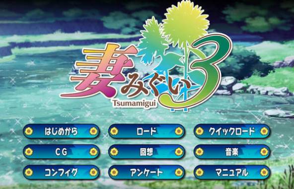 妻中蜜3汉化版