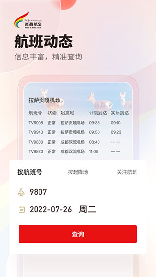 西藏航空