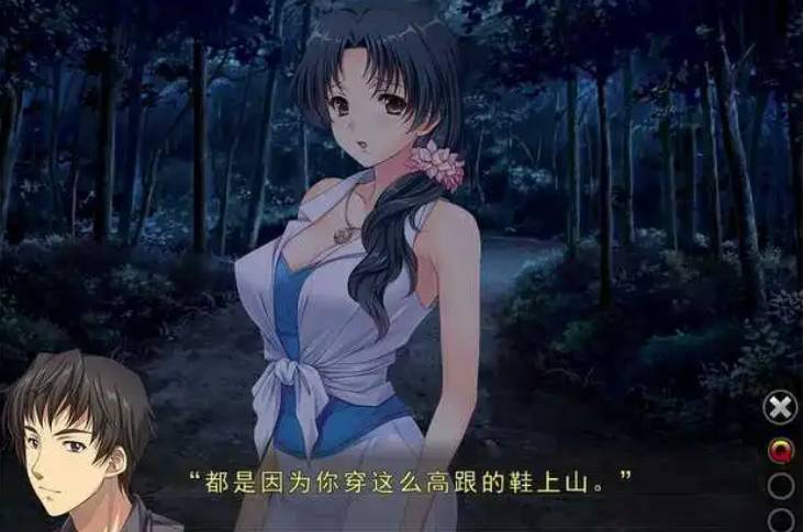 妻中蜜3汉化版