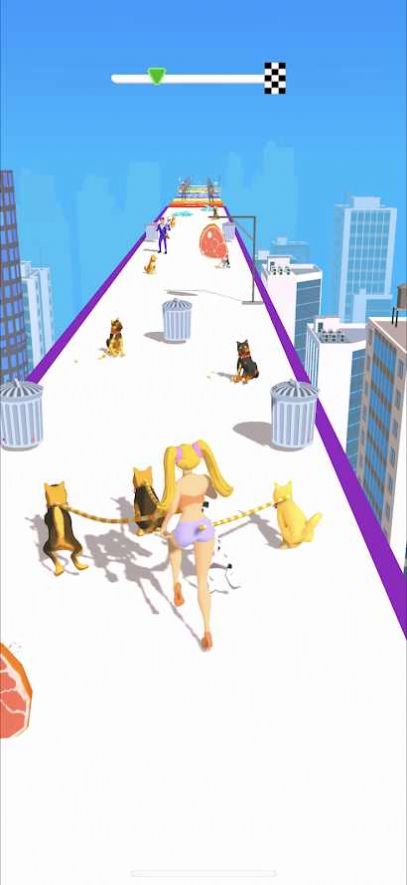 Dog Walker(�޹�����)