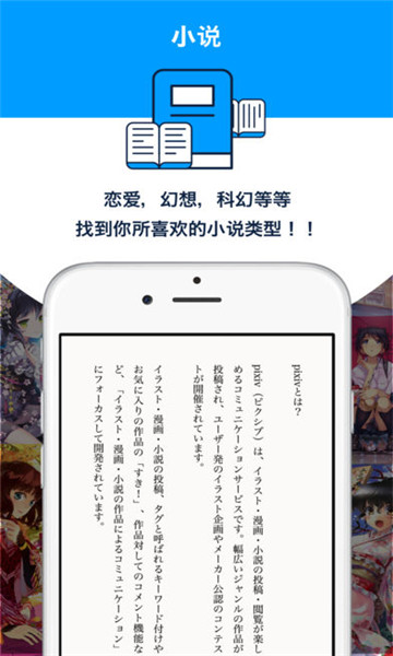 P站官方正版