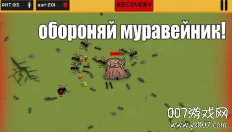 ants(����������°�)