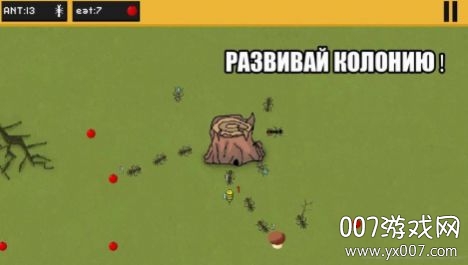 ants(����������°�)