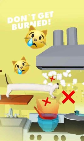 Ninja Cat忍者拉伸猫
