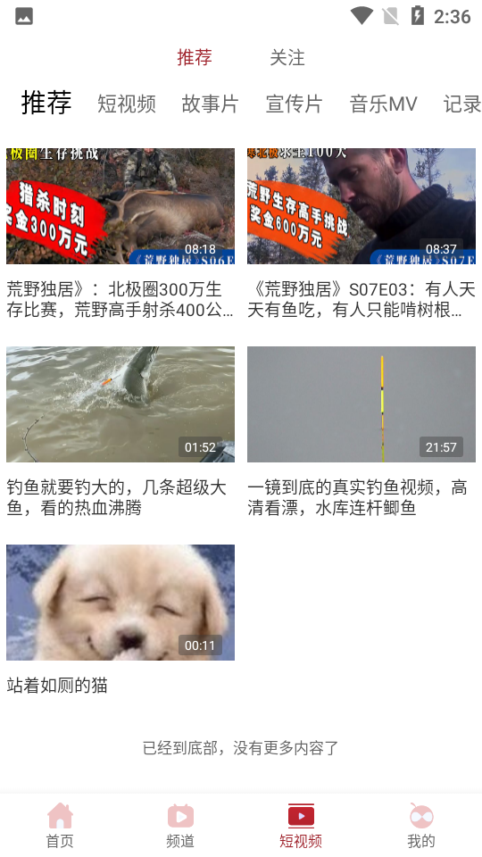 ������Ƶ