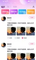 快速聊视频交友