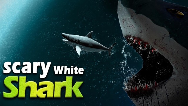 ��������ģ����