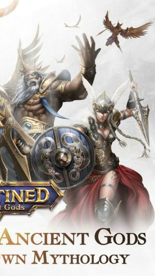 ����֮��