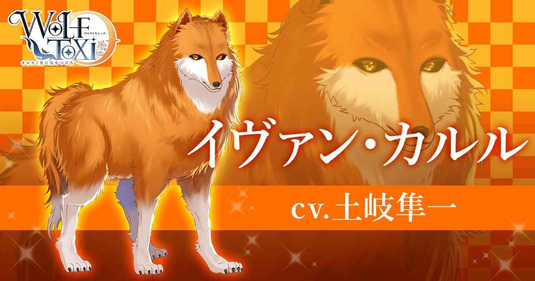 WolfToxic��������