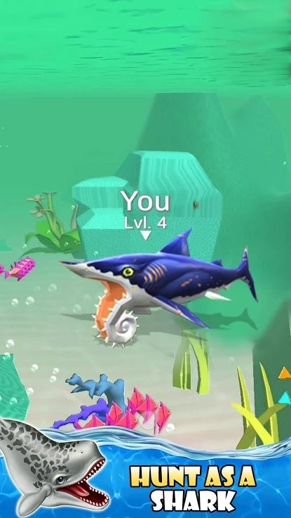 ����ˮ����3D