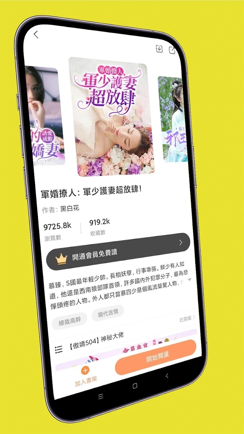 喜鵲小說