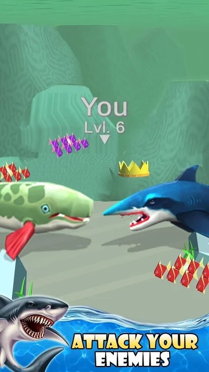 ����ˮ����3D