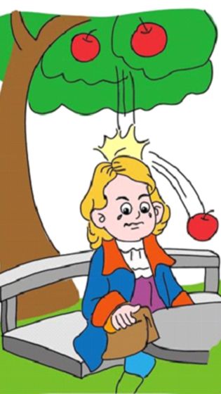 nbʵ�����ƽ����������2025��Ѱ�