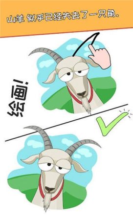 һ�ʻ�����