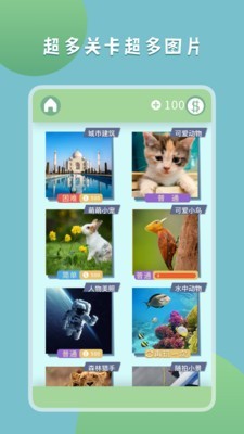 ����ƴƴ��