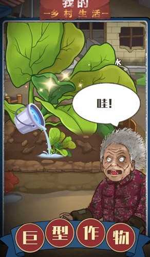 �������������ֲ��Ϸ�ֻ���