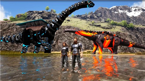 �ĵ����۽���