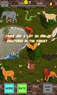 Ѽ�ӽ�������