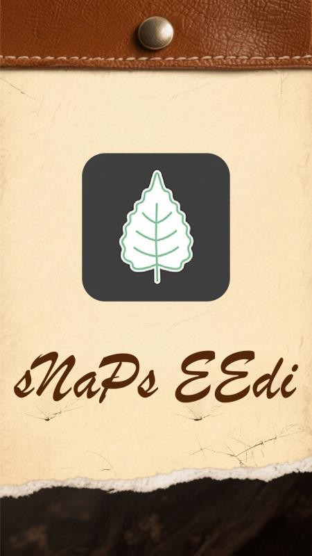 snapchat国内版苹果