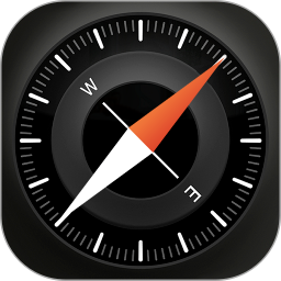 ��׼ָ����