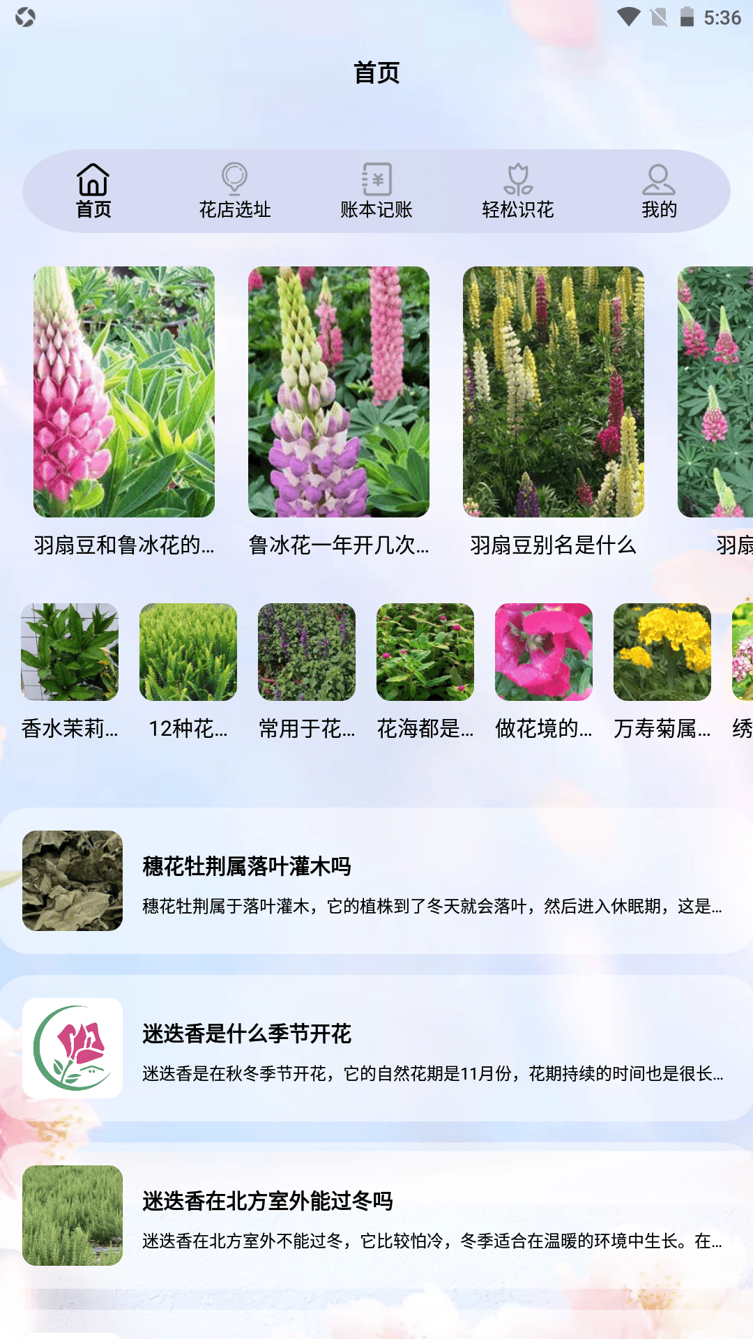 ��Ҫ������