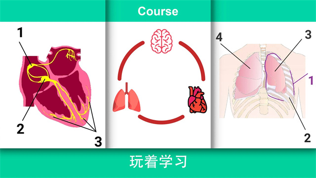 ��ʵҽ��ģ������׿��