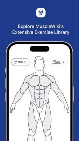 musclewiki安卓app