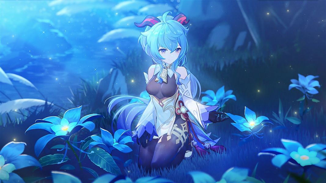 ���괥����Ѱ�����