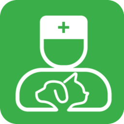 ��ҽ��ҽ����