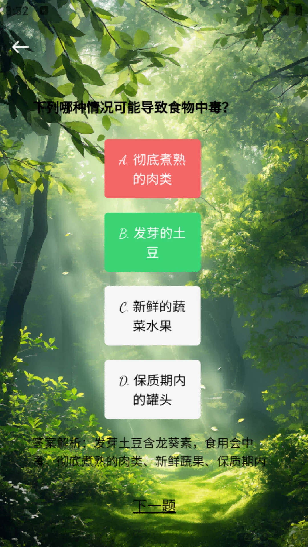 小树苗
