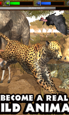 �ռ���ԭģ����