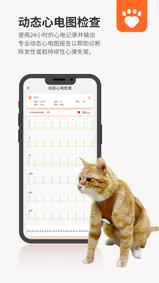 �ǰ��轡������