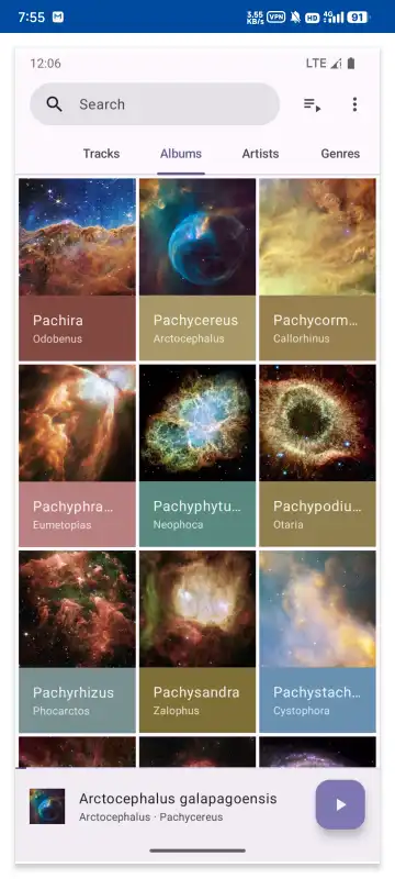 phocid���ֲ�����