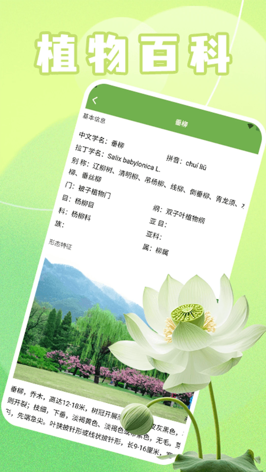 青青草堂极速版