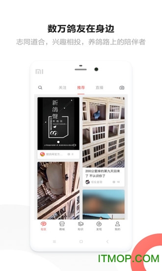 搜鸽网手机版