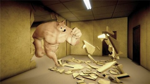doge币官方安卓版入口.最新版